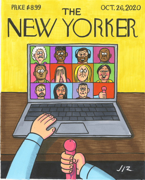 NEW YORKER/ZOOM CALL
