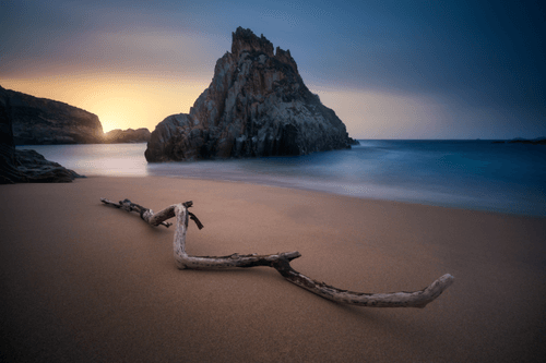 Guardians of the sea