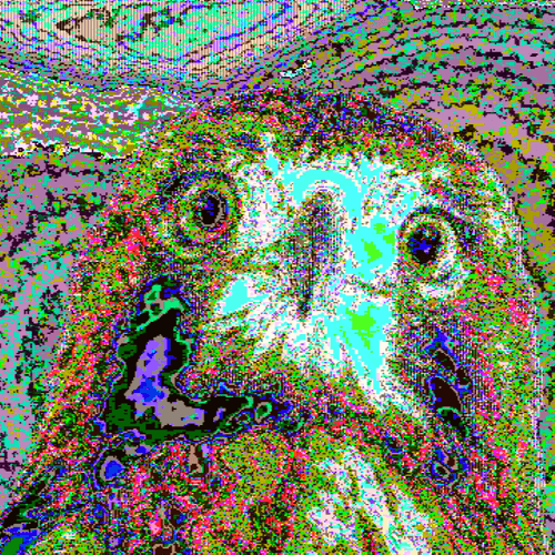 hawkward editions