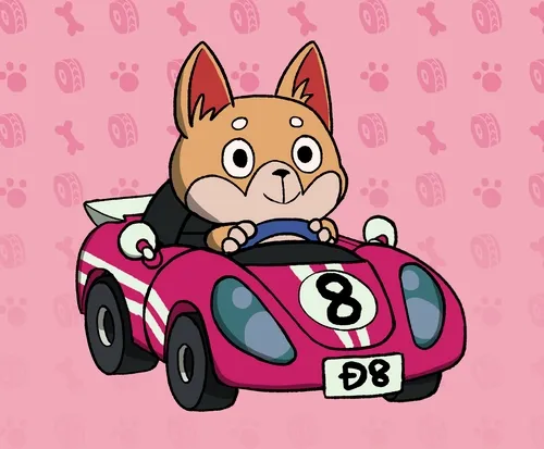 Animal Racing