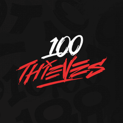 100 Thieves collection image