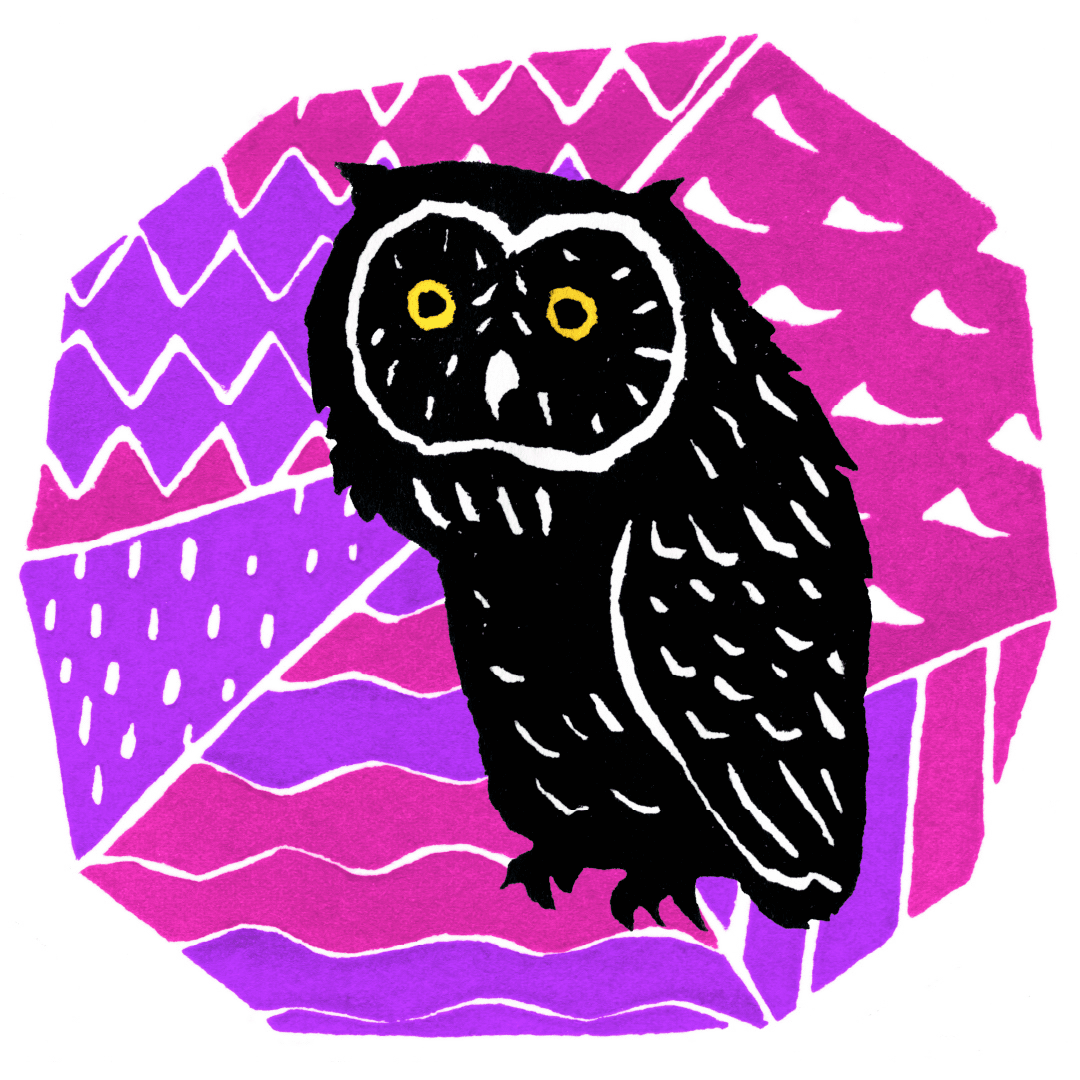 Dawn Nup Owl #15