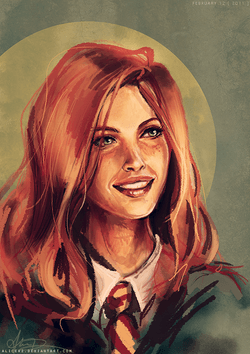 Harry Potter Art Collection collection image
