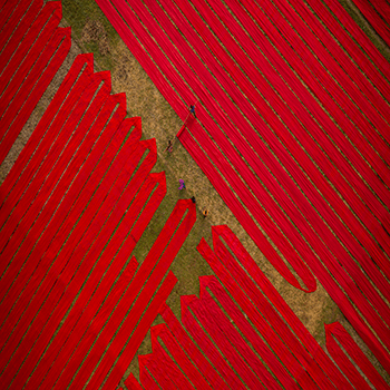 Drying red fabrics