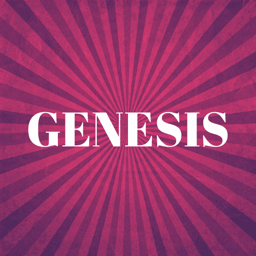 GenArt333 - Genesis