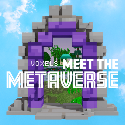 Meet The Metaverse