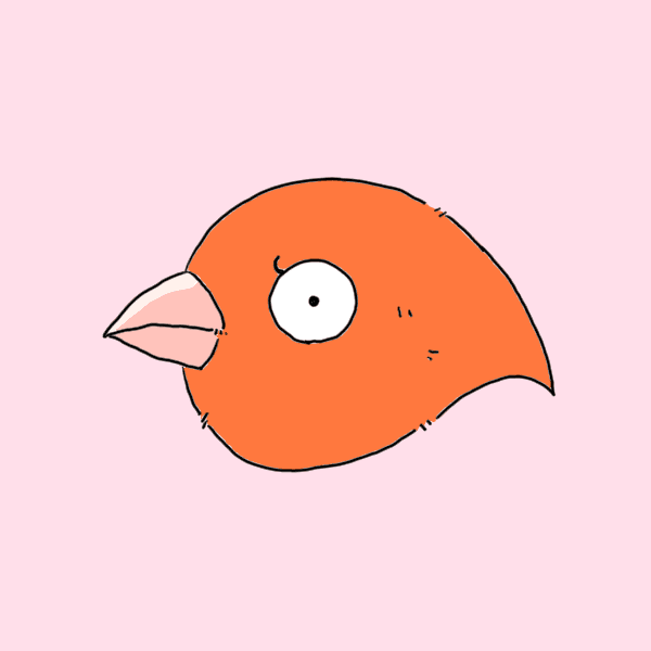 bird#26