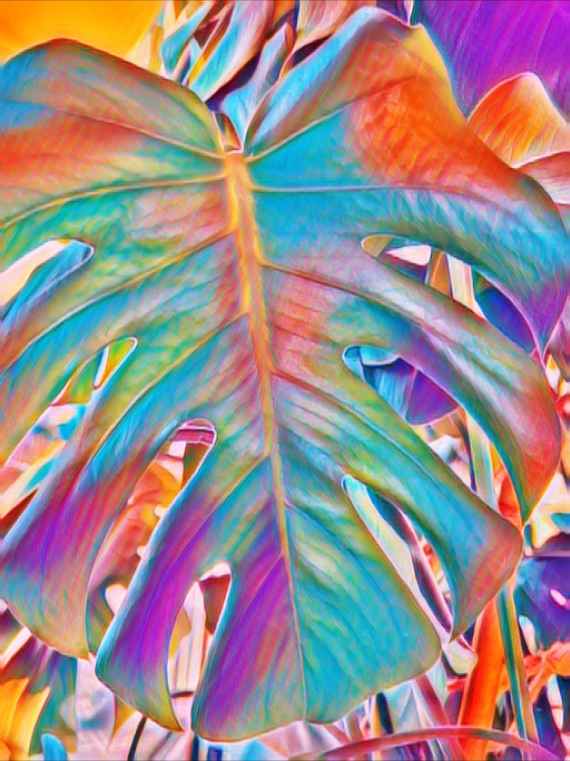color-outlook-collection-opensea