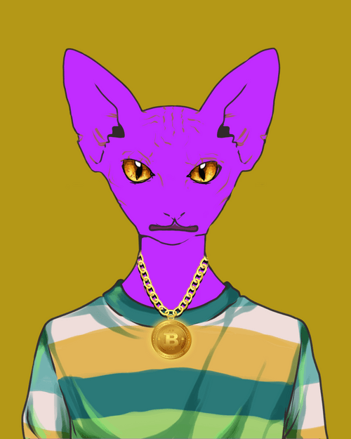 Sphynx #466