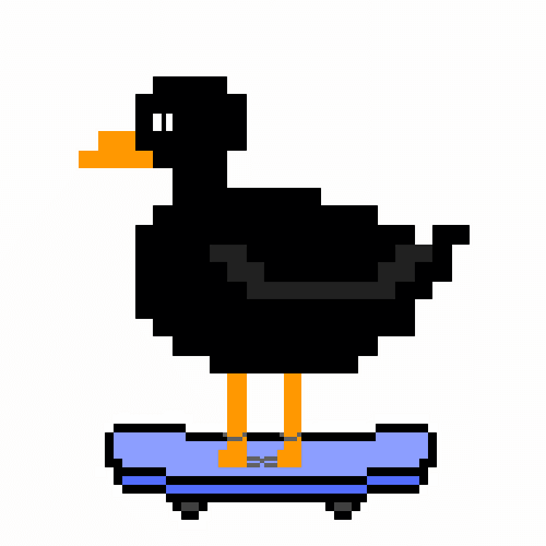 Duck #36