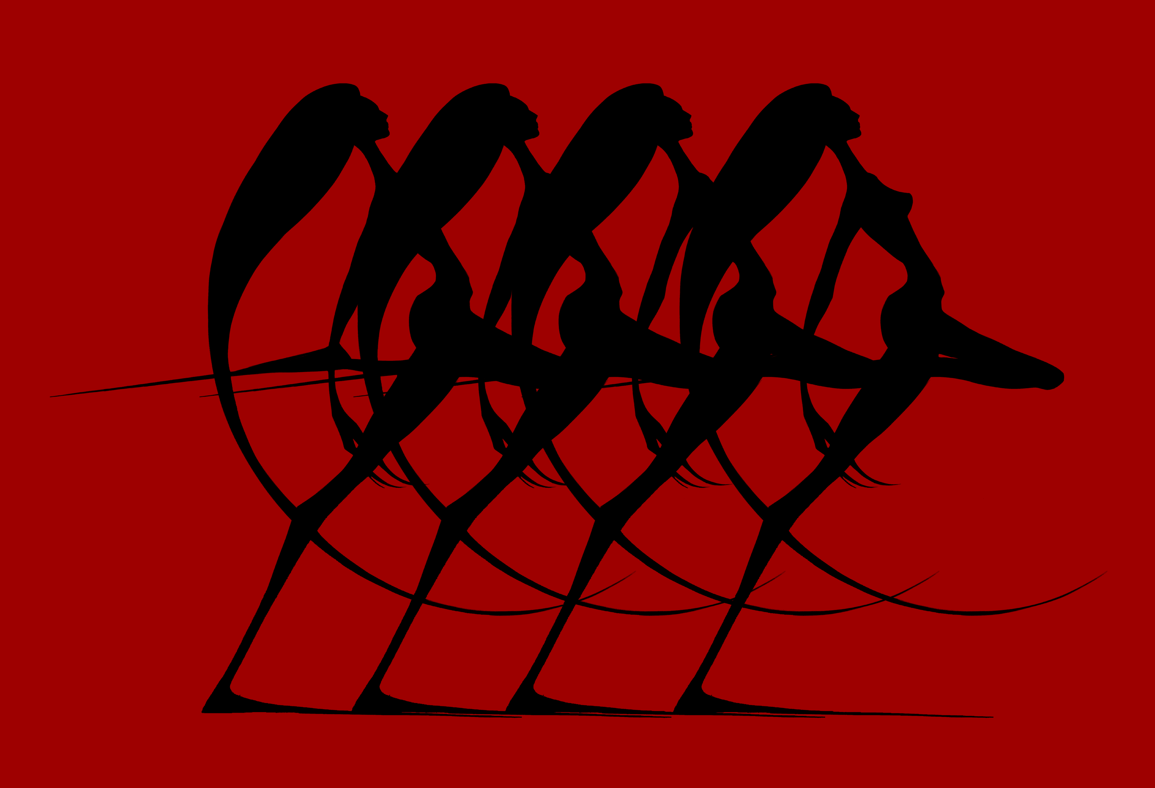 Woman Figures Figuring Silhouette