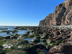 Dana Point Sea Caves, Doheny State Park collection image