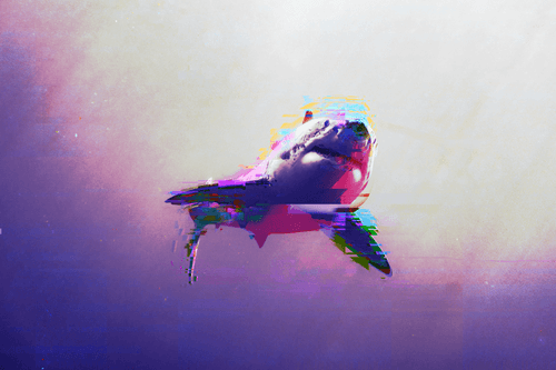 Abstract Shark 011