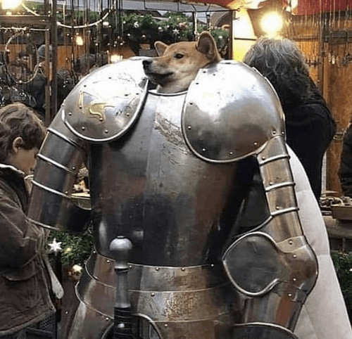 Sir Doge Memes