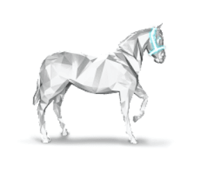 1st_horsewhite