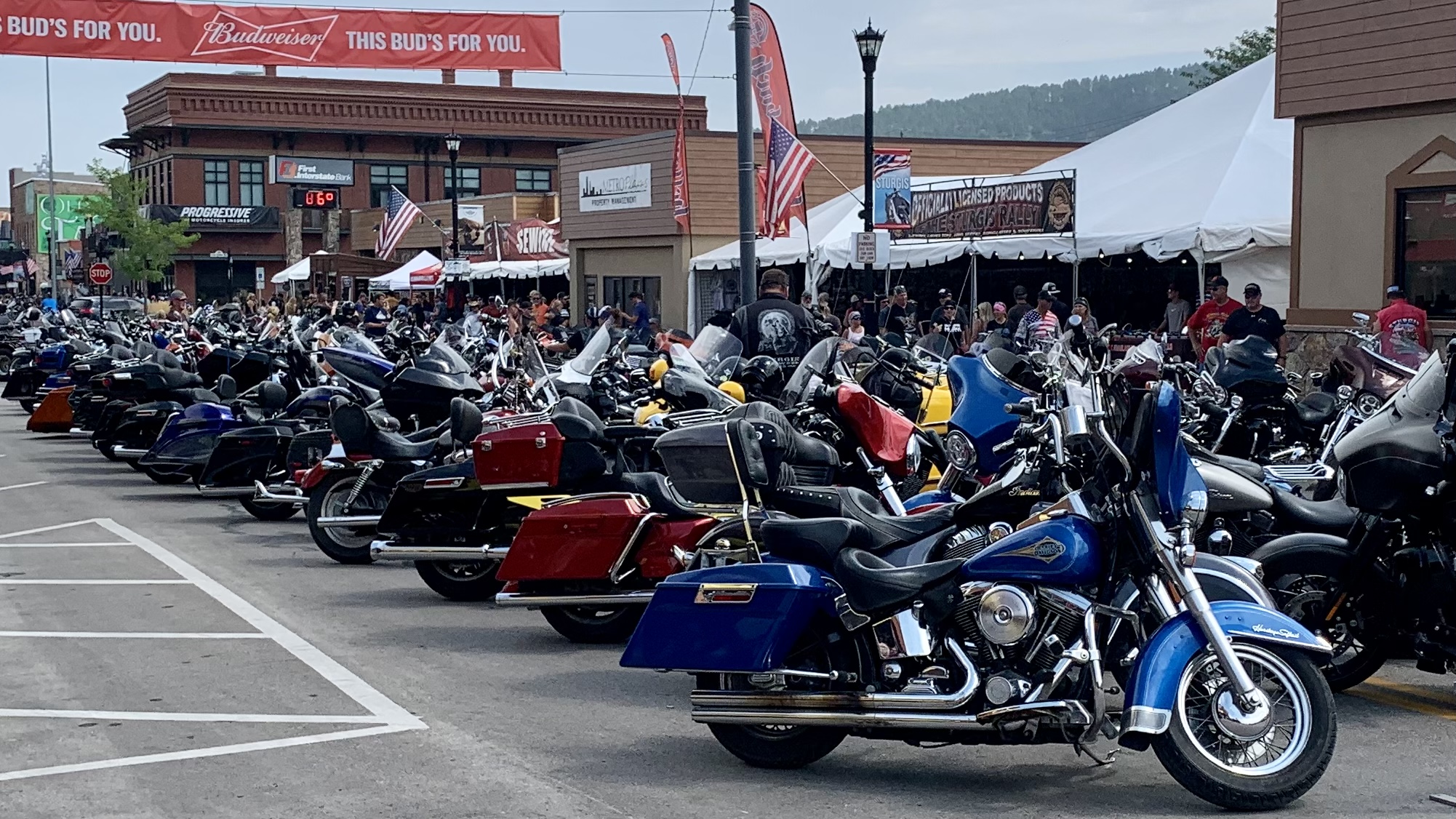 Sturgis 2021 Collection OpenSea