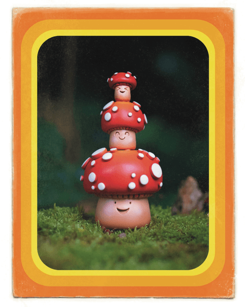 Mujuworld Magic Mushroom #01