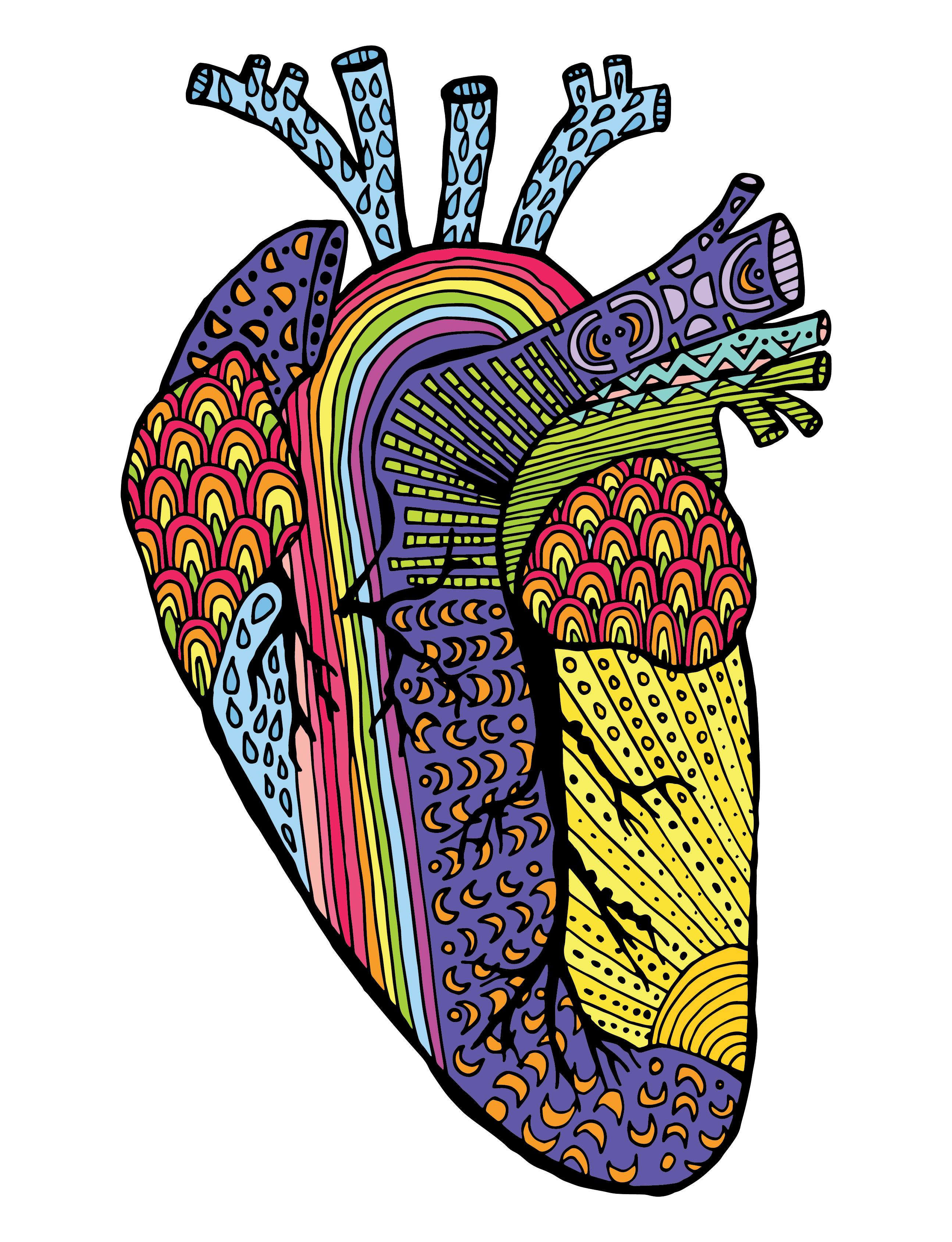 Anatomical Heart #12