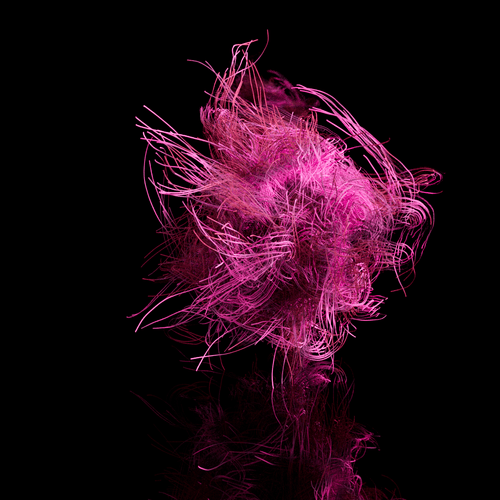 Follicles Volume 2