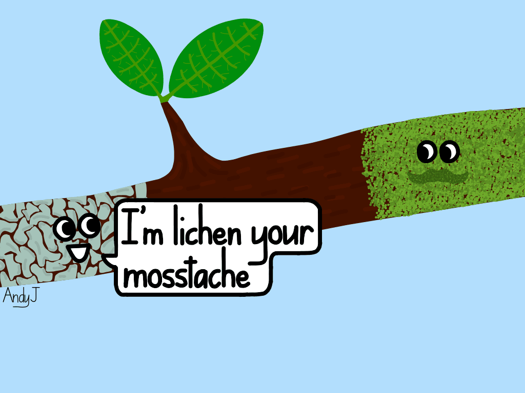 Lichen your mosstache