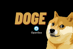 Dogecoin-NFTs collection image