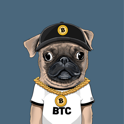 Pug #0092