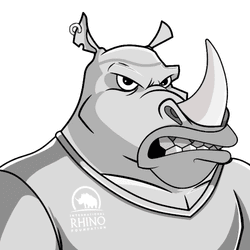 Raging Rhino Customs collection image