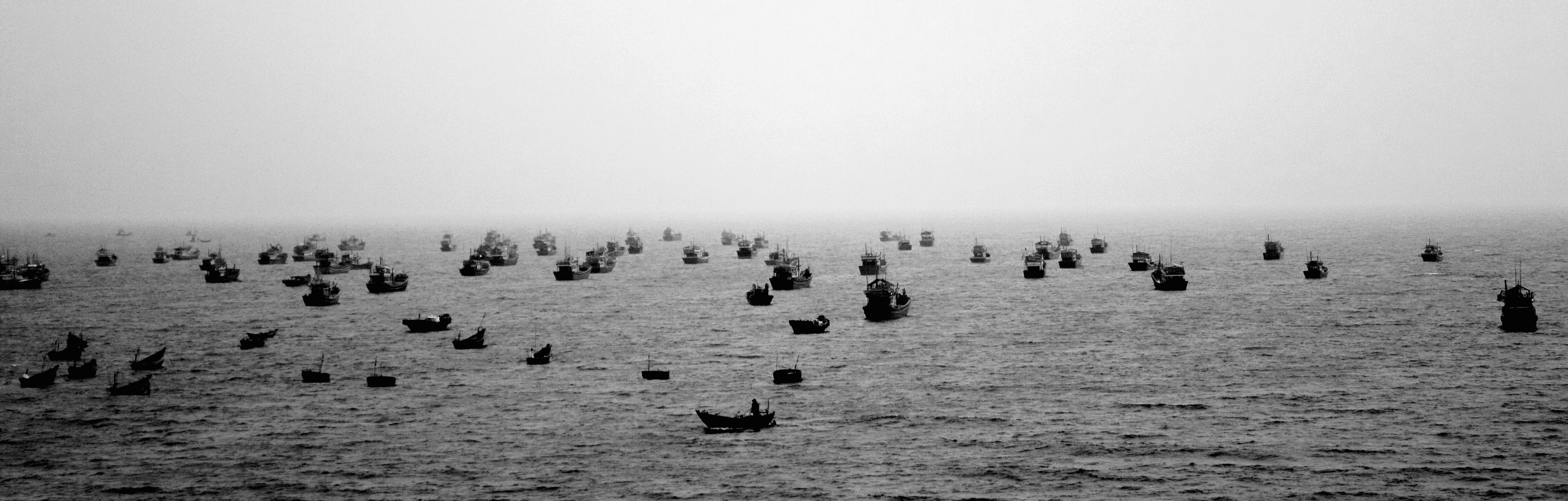 The world in a nutshell Collection OpenSea