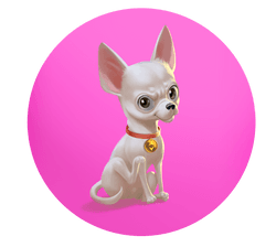 Chihuahua NFToys collection image