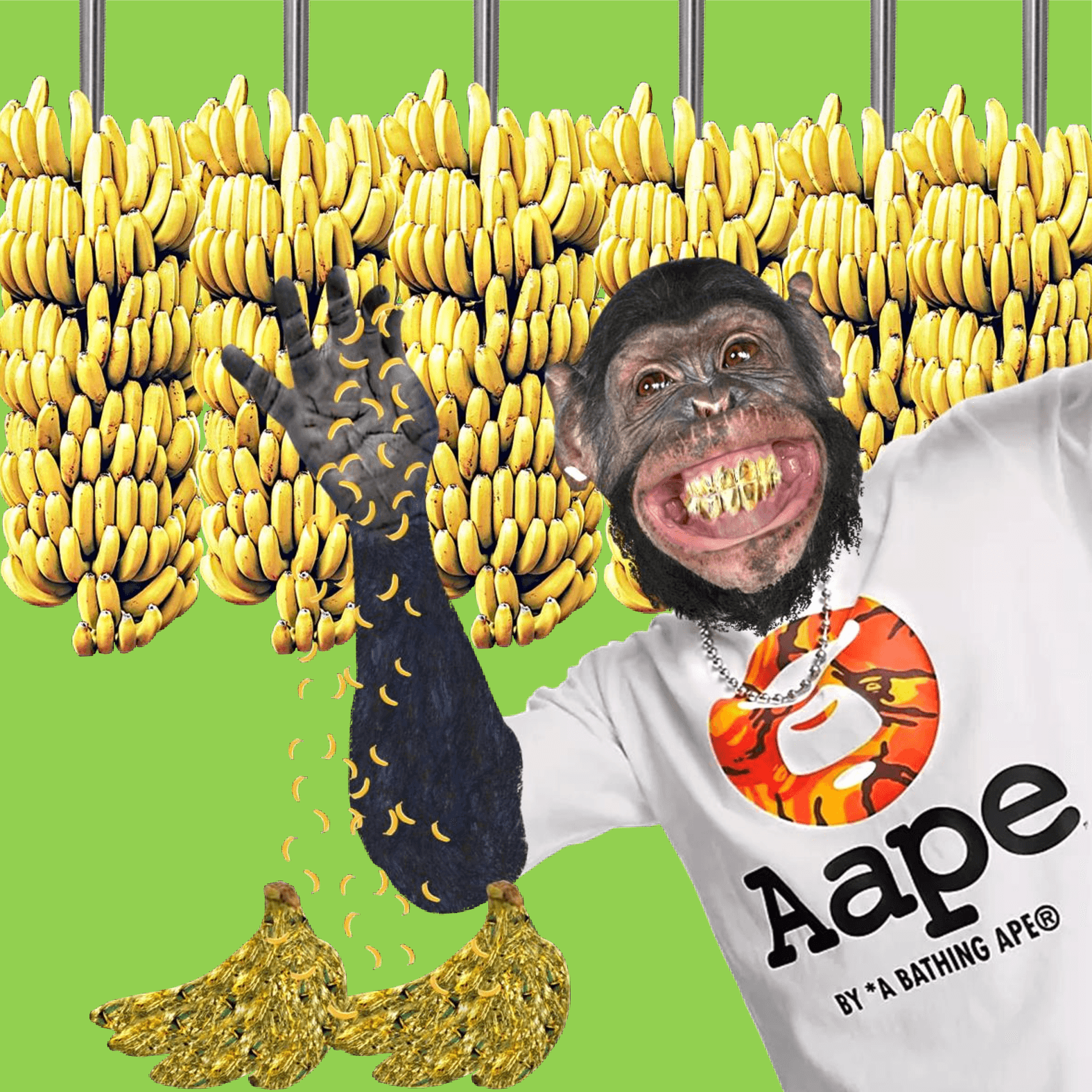 Ape Bae Chef Celebrity - Collection | OpenSea