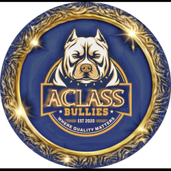 항목 미디어 플레이스홀더