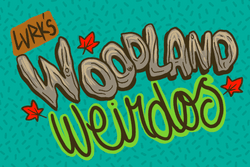 Woodland Weirdos collection image