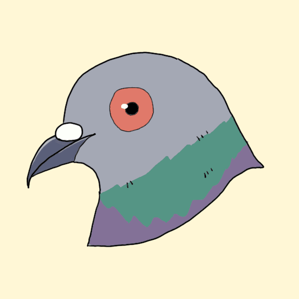 bird#13
