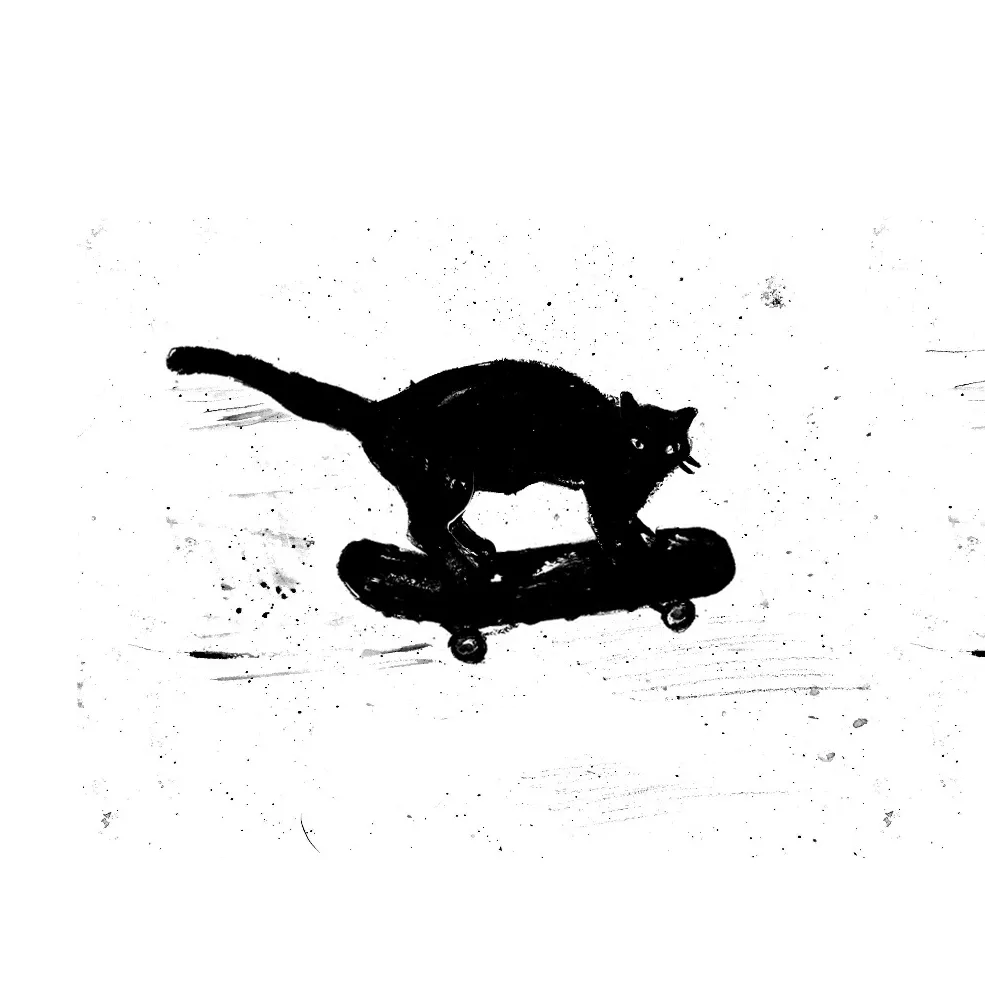 Skater cat animation