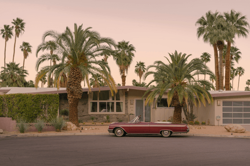 A portrait of Palm Springs
