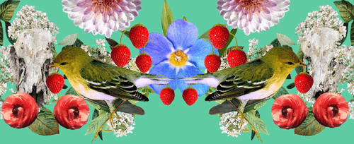 The Strawberry Thieves Banner 7