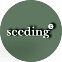 Seeding NFT collection image