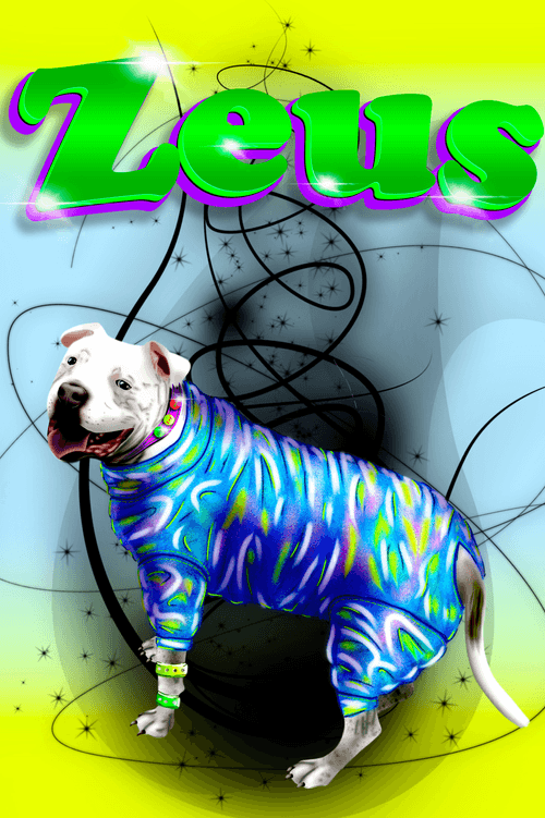 Zeus.
