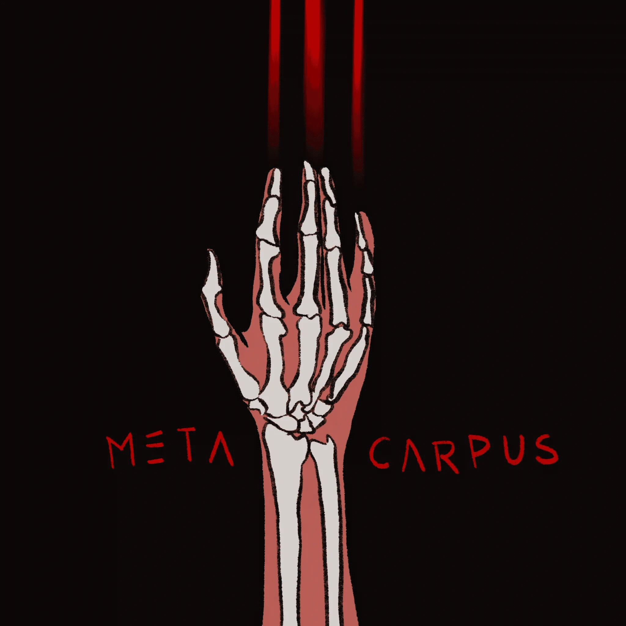 Metacarpus-poeticway