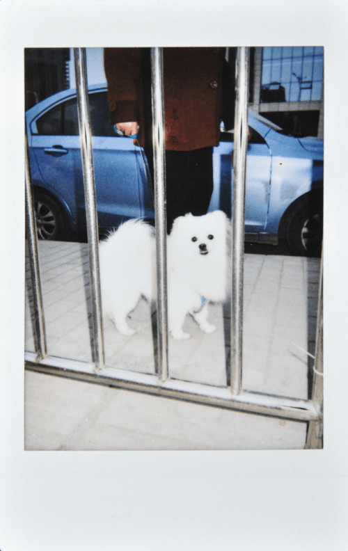 Polaroids from China