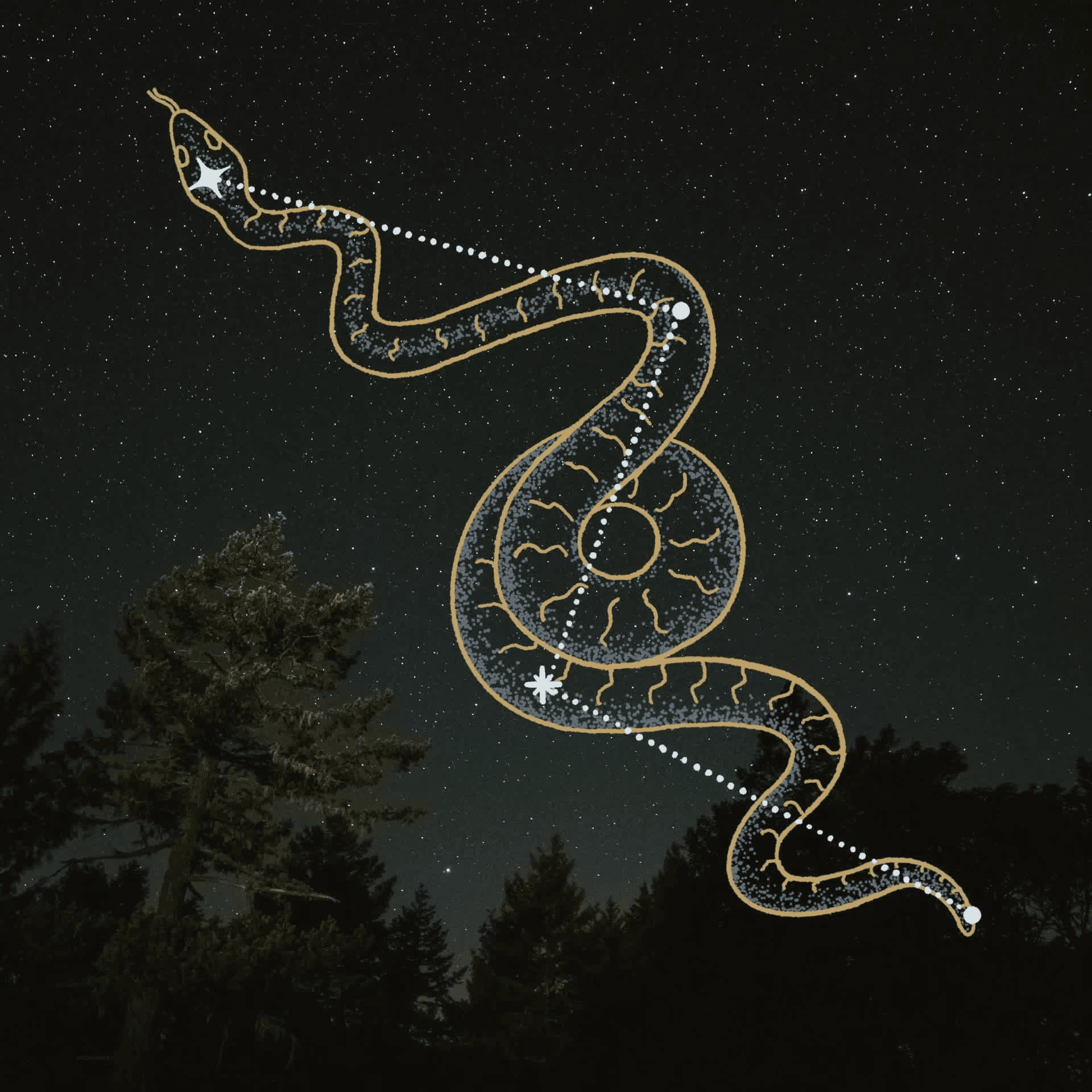 Serpent #43/140