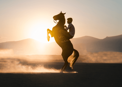 The Horse dance with light