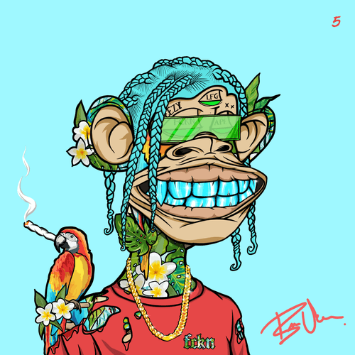 BAHAMA X CONCEPTS