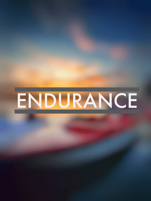 E N D U R A N C E