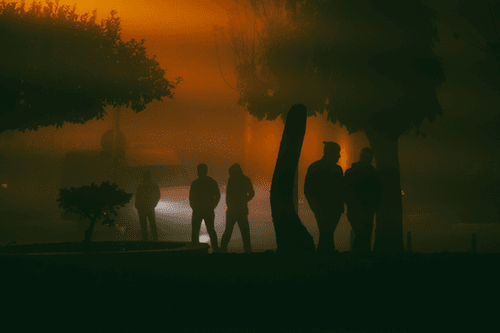 Misty Night