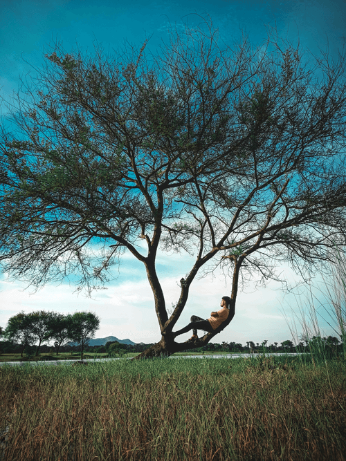 Peace In Wilderness