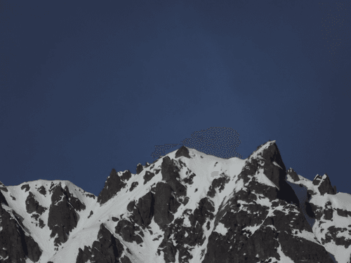 Amazing Alps