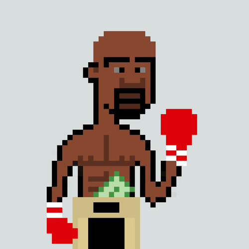 Fighting Punk - Floyd Mayweather Jr.
