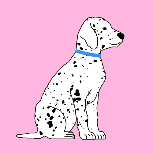 Dalmatians
