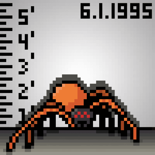 NFTarantula #116